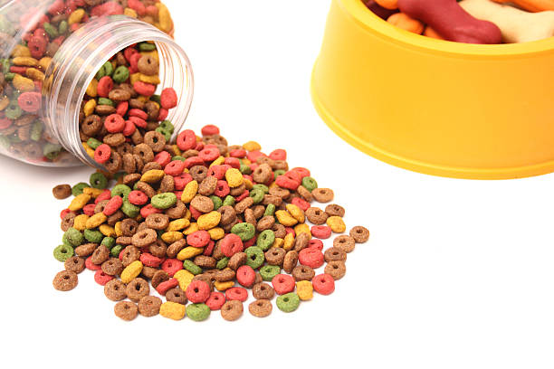 istock Dog food and bowl 179069909