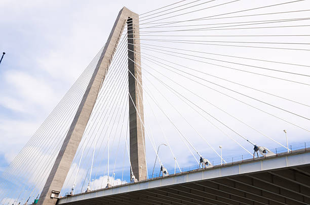 istock Arthur Ravenel Jr Bridge over Cooper River in Charleston 179070437