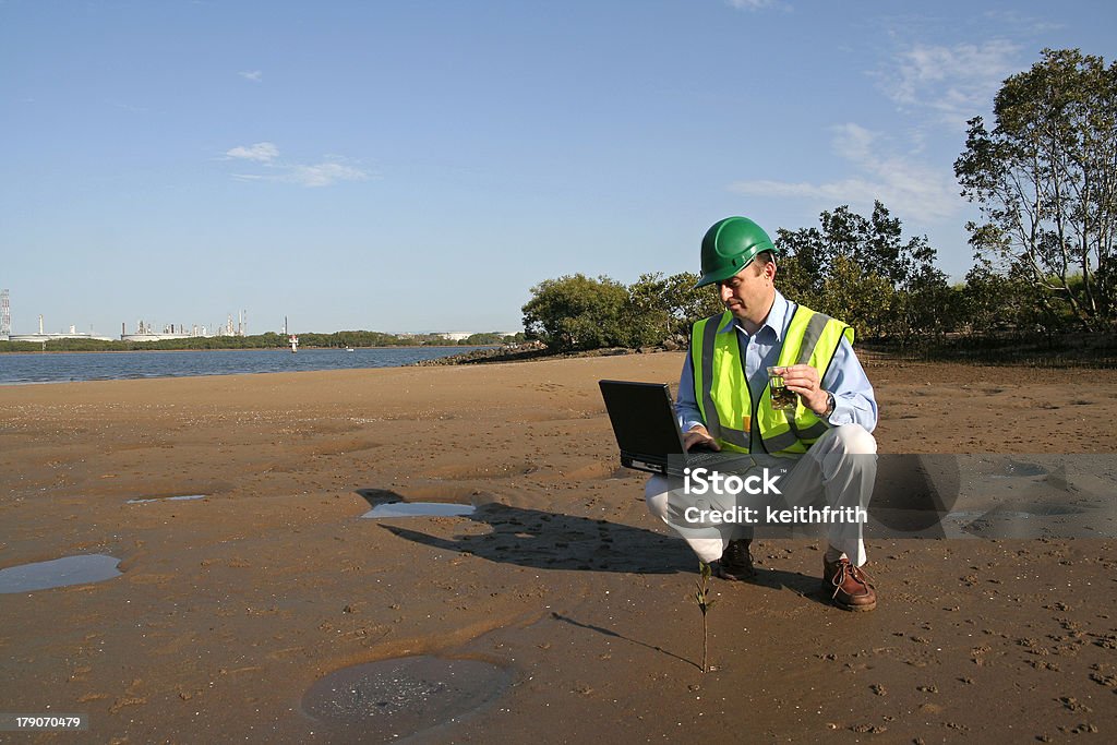 Environmental engineer in an estuary An environmental engineer on the mudflats examining a plant sample, showing the estuary and beautiful blue sky, wearing an yellow reflective vest, green safety helmet and working on his lap top Engineer Stock Photo