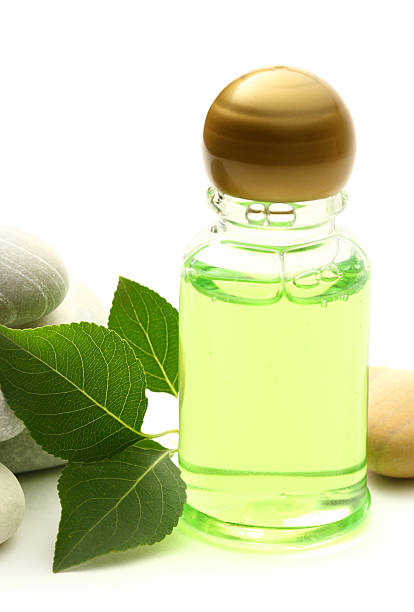 istock Stones, leaves and shampoo bottle 179070561