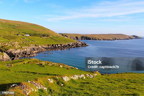 아일랜드 풍경 해질녘 베어라 0명에 대한 스톡 사진 및 기타 이미지 - 0명, 경관, 들