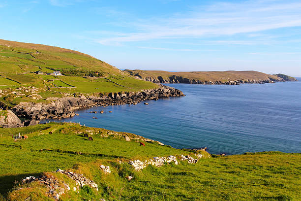 istock Irish landscape at sunset in Beara 179071360