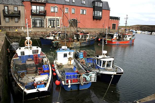 Dunbar Harbour, Scotland stock photo