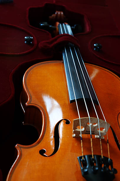 violon - violin cello music letter f photos et images de collection