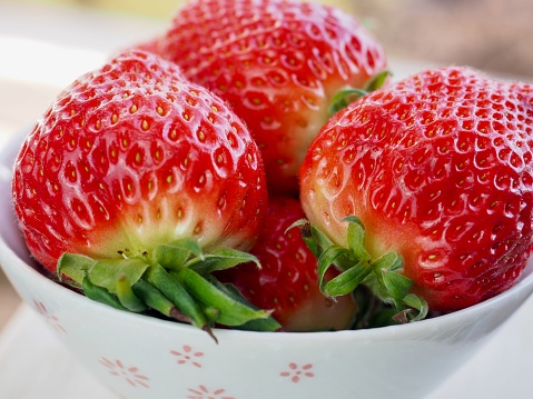 Strawberry plantation field,ripe red berries.Woman hands holding hands full of freshly picked strawberries,strawberry farm.Girl picking and eating strawberries on organic berry farm in summer.