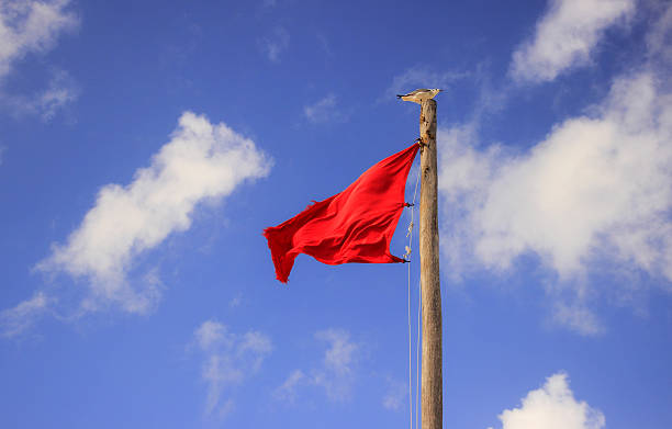 istock Red flag and seagull against blue sky 179072984