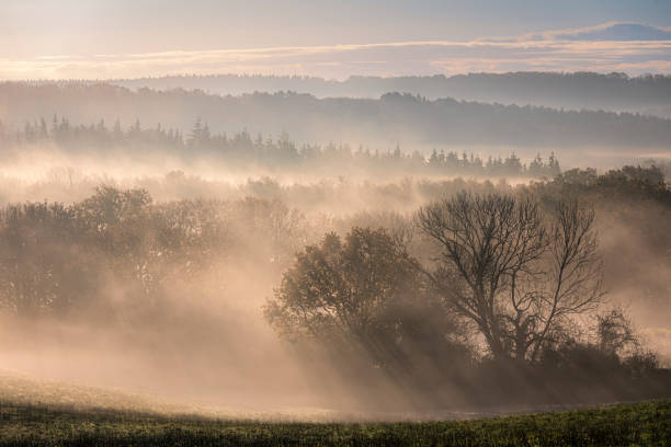 istock Penhurst vale misty morning 1790736329