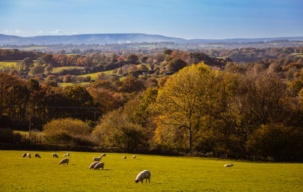 vista otoñal de high weald - south downs fotografías e imágenes de stock