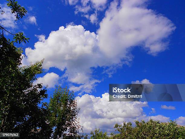 Baum Sky Stockfoto und mehr Bilder von Agrarbetrieb - Agrarbetrieb, Baum, Bedecken