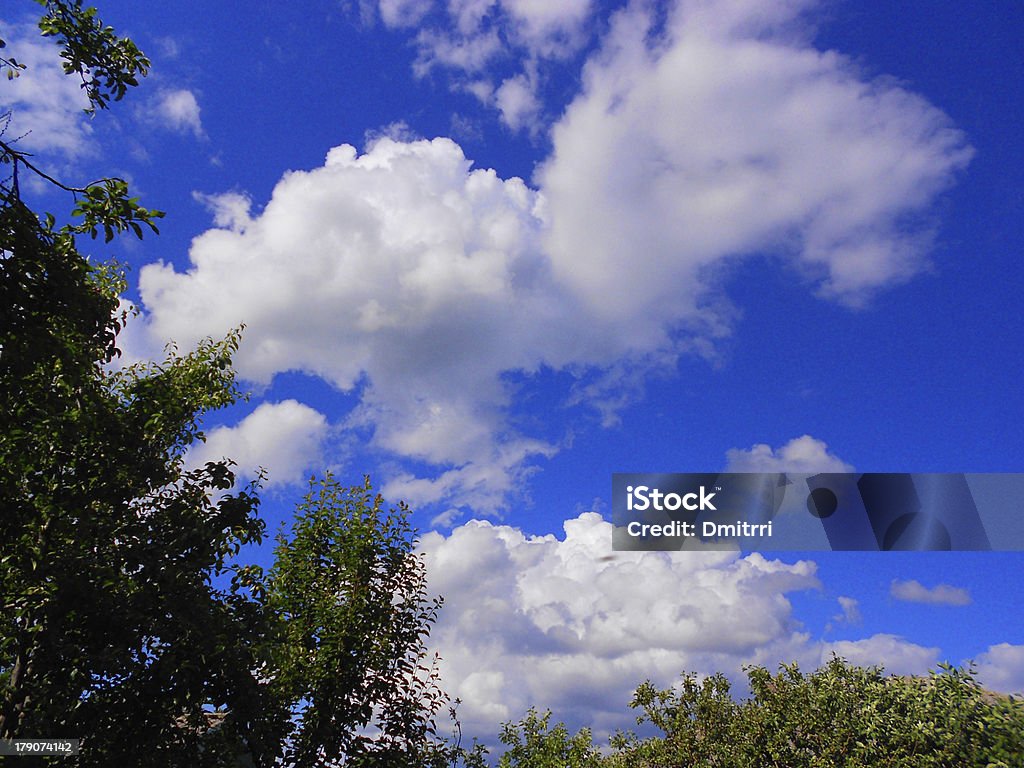 Árvore, Sky - Foto de stock de Acima royalty-free