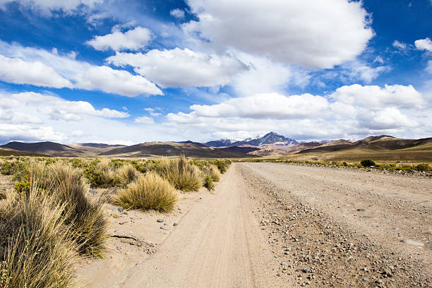 istock Desert and mountainon Altiplano,Bolivia 179074272