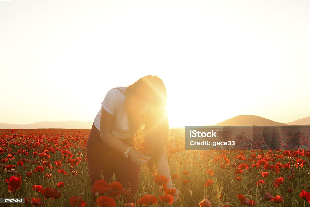 Junge Schönheit in Mohn Feld bei Sonnenuntergang - Lizenzfrei 20-24 Jahre Stock-Foto