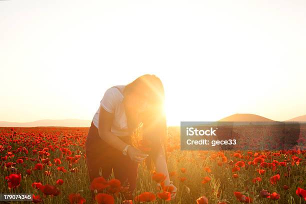 Junge Schönheit In Mohn Feld Bei Sonnenuntergang Stockfoto und mehr Bilder von 20-24 Jahre - 20-24 Jahre, Abenddämmerung, Bildschärfe