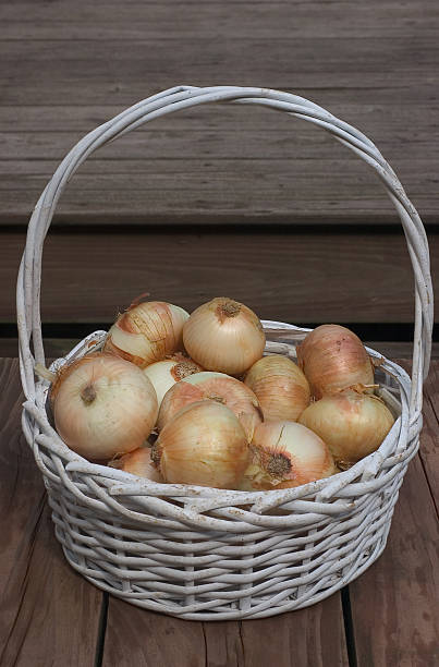 Basket of onions stock photo