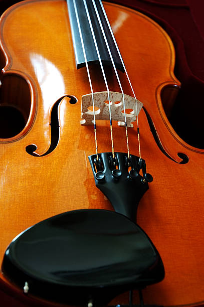 violon - violin cello music letter f photos et images de collection