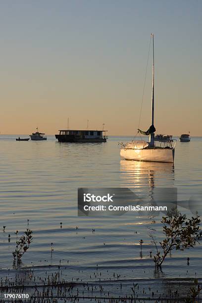 Boats In The Harbour Stock Photo - Download Image Now - Dusk, Fishing Boat, Houseboat