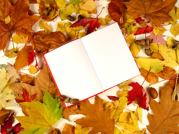 istock The book of autumn (serie) 179077069