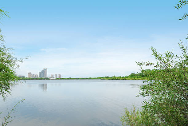 istock Sun Island west beach wetland park 179077322