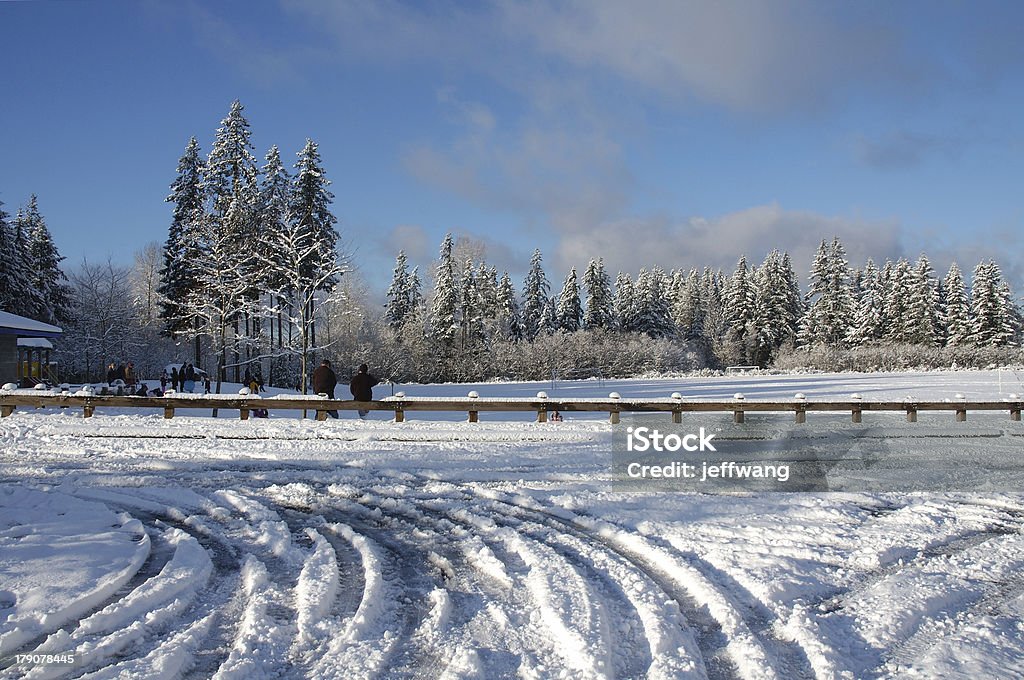 Snow field - Lizenzfrei Baum Stock-Foto