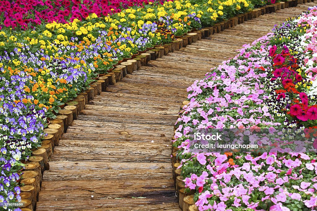 wooden path in flower bed Beauty In Nature Stock Photo