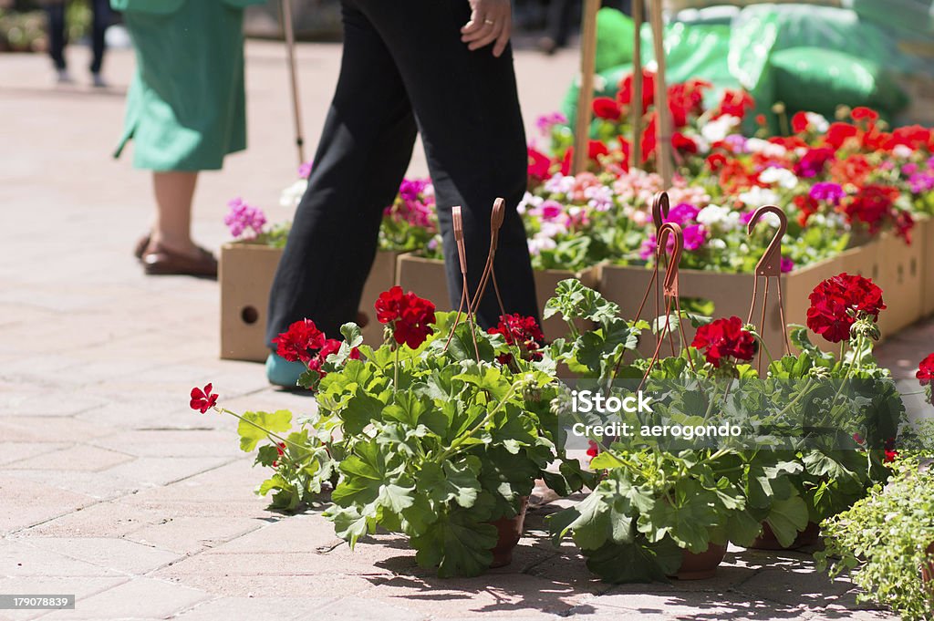 Blumenmarkt - Lizenzfrei Baumblüte Stock-Foto