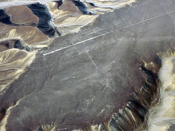 istock Hummingbird at the Nazca Lines 179079039