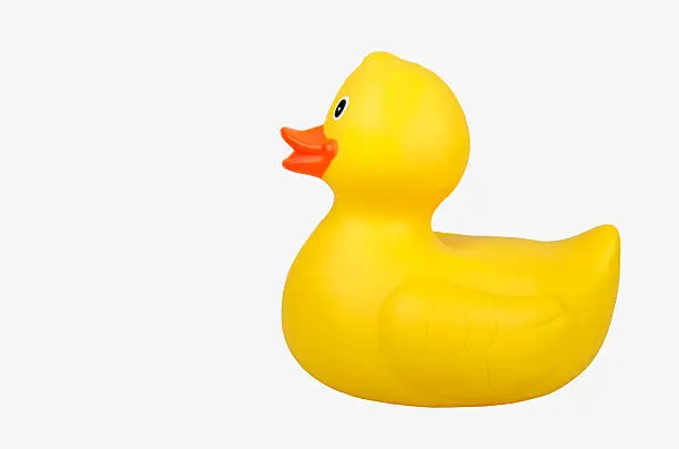 Cork, Ireland - March 23, 2013: A yellow rubber duck photographed from a side profile on a white background.