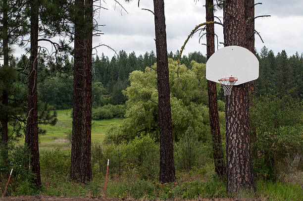 istock Outdoor Mountain Basketball hoop 179079254