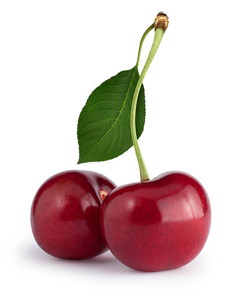 istock Cherries with the leaf isolated on white. Clipping path 179079390