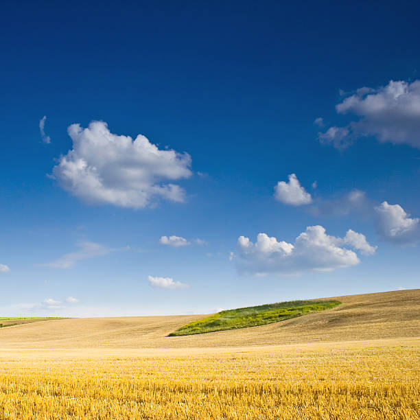 istock Polish countryside landscape 179080677