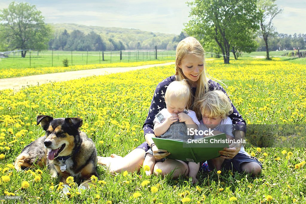 Mother Reading Book to Children Outside a young attractive mother reads a story book to her two children while sitting outside in a meadow with their dog Reading Stock Photo