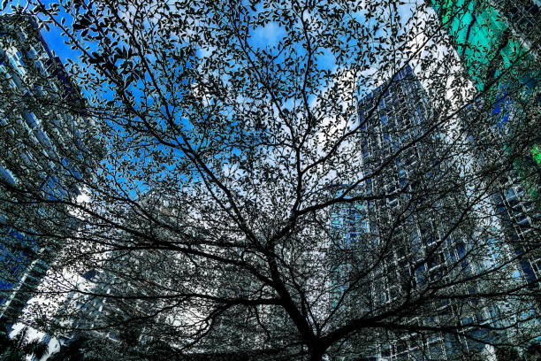 istock Kuala Lumpur skyscrapers behind trees, from low angle view during day time, Malaysia 1790814799
