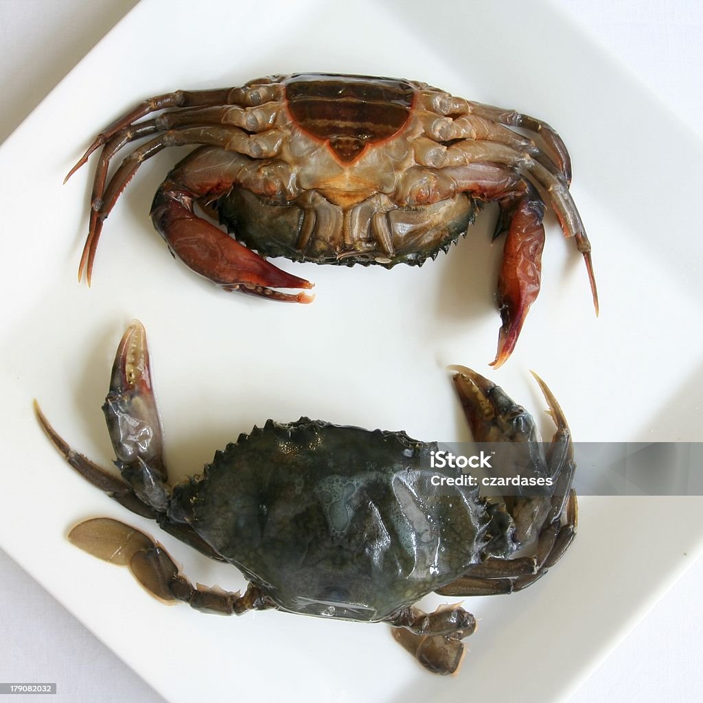 Soft shell crabs Two soft shell crabs to be cooked Animal Shell Stock Photo
