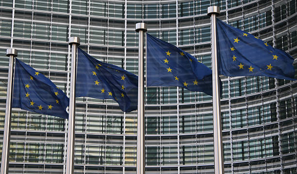 istock European flags in Brussels 179082062
