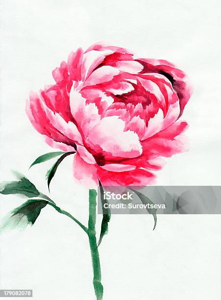 Big Peonia - Immagini vettoriali stock e altre immagini di Arte - Arte, Arti e mestieri, Bianco