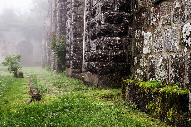 istock Foggy old cemetery at sunrise 179083253