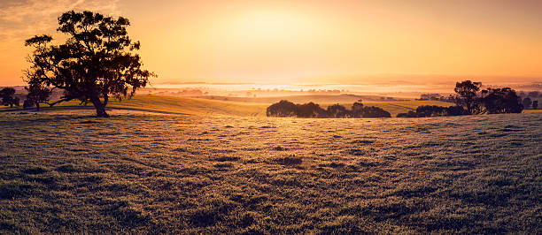 istock Field of Dreams 179083658