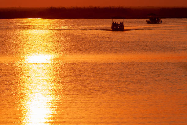 istock sunset cruise at Chobe river Botswana 1790840760