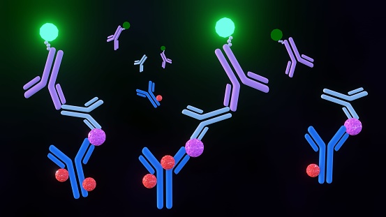 A 3D rendering illustrates a sandwich ELISA technique, where antigen detection is achieved between two layers of antibodies: a capture antibody and a detection antibody