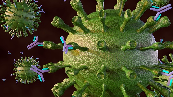 3d rendering of Antibodies, primarily through binding to and neutralizing virions, and by directing the lysis of infected cells by complement or killer leukocytes, act against virus