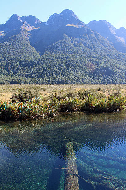 istock Mirror Lake, Fjordlands NP 179084711