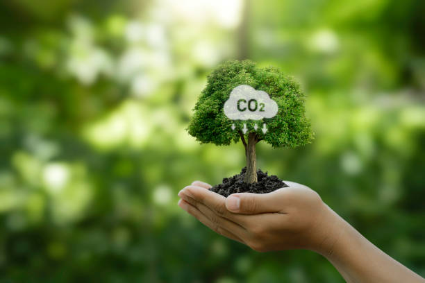 istock Hand holding a tree with a CO2 symbol. Net zero and carbon footprint for reduce emission, carbon neutral, limit climate change and global warming, and eco-friendly environment to green business 1790849455