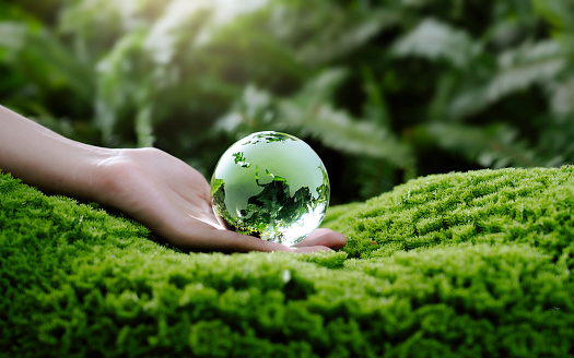 Hands Holding Globe Glass On Green Forest With Moss For Saving The Environment, And Environmentally Sustainable. Save Earth. Concept of Environment World Earth Day. Reduce Emission or Carbon Neutral.