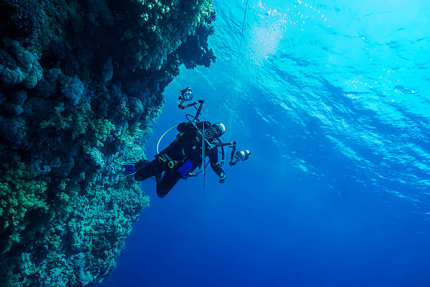 istock Underwater Photographer at a Reef in Egypt 179085963