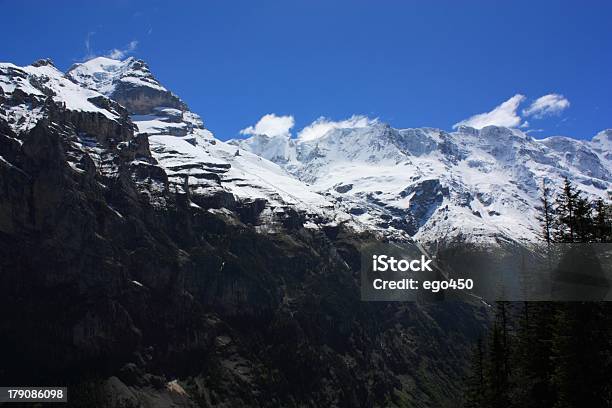 Alpy Szwajcarskie - zdjęcia stockowe i więcej obrazów Alpy - Alpy, Aster, Bez ludzi