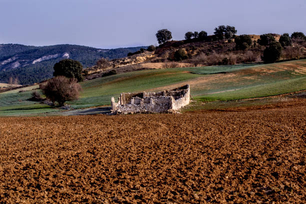 Free picture: Old ruin farm with agricultural flat fields in spring time