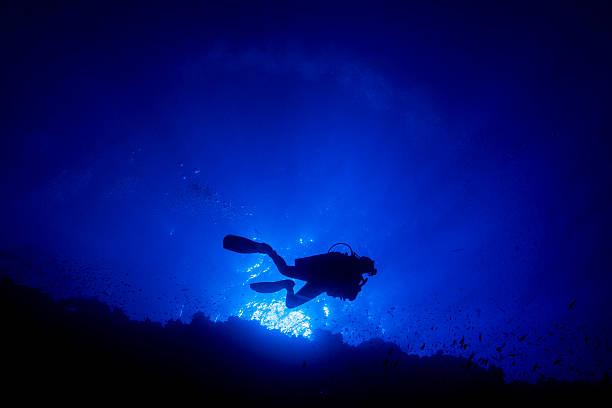 istock Scuba Diver Silhoutte at Elphine Stone Reef 179087166