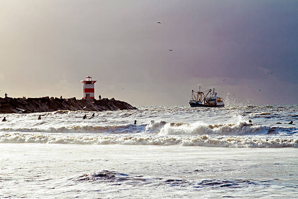 夕暮れのサーファーサーフ scheveningen オランダ - surfing surf wave men ストックフォトと画像