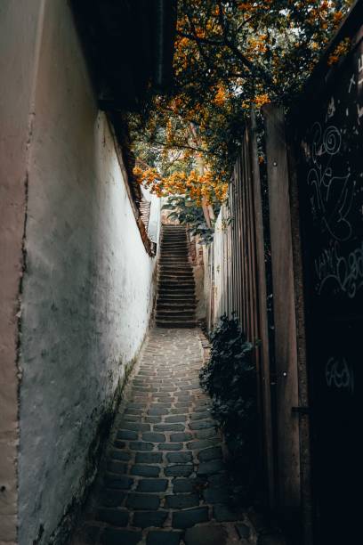 istock a small alley with stairs next to a wall and trees 1790873343