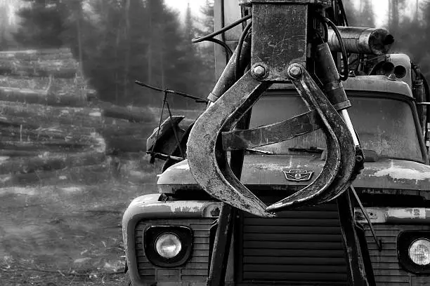 "Old Logging Truck, Black and White.  Piles of wood in background."